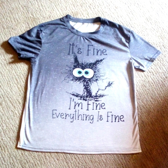 It's Fine!!  Great Harried, Stressed, Caffeinated European Cat T Shirt In Ombre - Picture 1 of 6